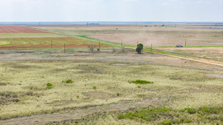 354.2+/- Acres CRP Hunting Ranch Land in Lamb County, Texas - image 34