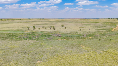 354.2+/- Acres CRP Hunting Ranch Land in Lamb County, Texas - image 25