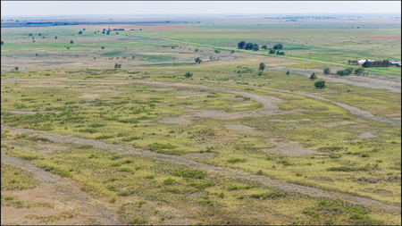 354.2+/- Acres CRP Hunting Ranch Land in Lamb County, Texas - image 4