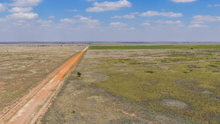 354.2+/- Acres CRP Hunting Ranch Land in Lamb County, Texas - image 6
