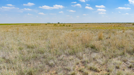 354.2+/- Acres CRP Hunting Ranch Land in Lamb County, Texas - image 39
