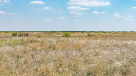 354.2+/- Acres CRP Hunting Ranch Land in Lamb County, Texas - image 42