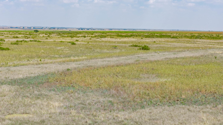 354.2+/- Acres CRP Hunting Ranch Land in Lamb County, Texas - image 32