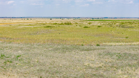 354.2+/- Acres CRP Hunting Ranch Land in Lamb County, Texas - image 31