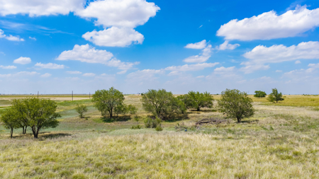 354.2+/- Acres CRP Hunting Ranch Land in Lamb County, Texas - image 28