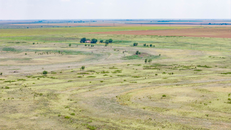 354.2+/- Acres CRP Hunting Ranch Land in Lamb County, Texas - image 11