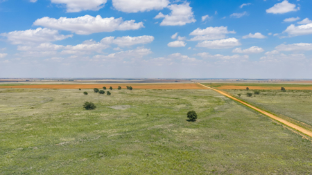354.2+/- Acres CRP Hunting Ranch Land in Lamb County, Texas - image 19