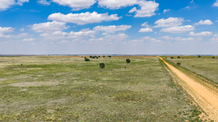 354.2+/- Acres CRP Hunting Ranch Land in Lamb County, Texas - image 21