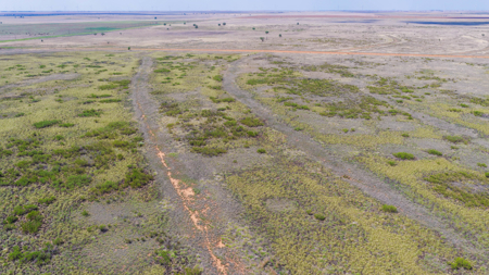 354.2+/- Acres CRP Hunting Ranch Land in Lamb County, Texas - image 2