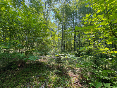 Turnkey Business Opportunity - Lagrange, Maine - image 25