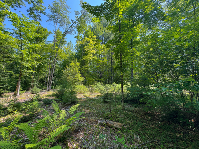 Turnkey Business Opportunity - Lagrange, Maine - image 24