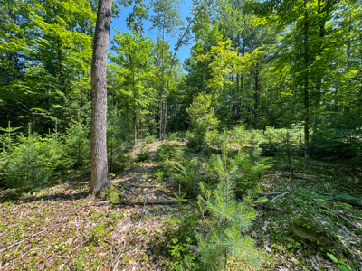 Turnkey Business Opportunity - Lagrange, Maine - image 23