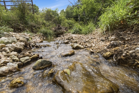 431 Acre Ozarks Farm with Springs, Ponds & Income Potential - image 32