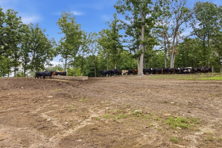 431 Acre Ozarks Farm with Springs, Ponds & Income Potential - image 27