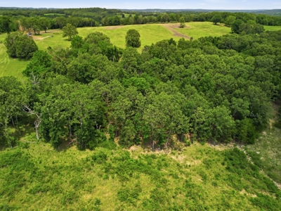 431 Acre Ozarks Farm with Springs, Ponds & Income Potential - image 42