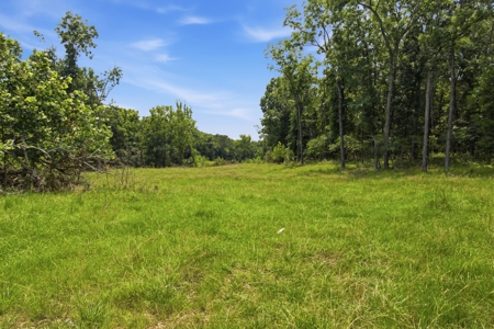 431 Acre Ozarks Farm with Springs, Ponds & Income Potential - image 19