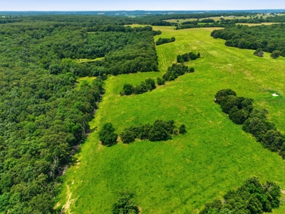 431 Acre Ozarks Farm with Springs, Ponds & Income Potential - image 22