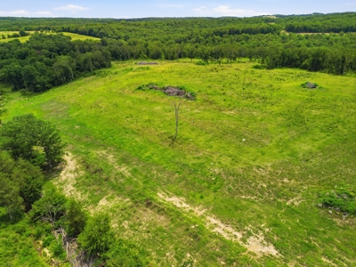 431 Acre Ozarks Farm with Springs, Ponds & Income Potential - image 10