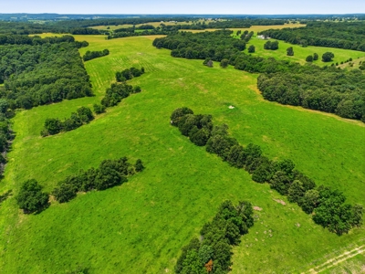 431 Acre Ozarks Farm with Springs, Ponds & Income Potential - image 1