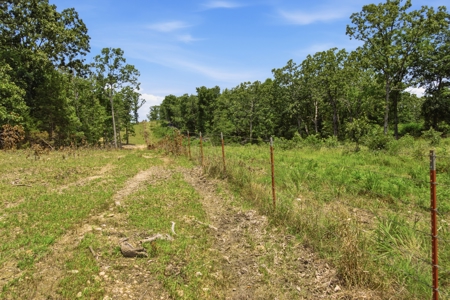 431 Acre Ozarks Farm with Springs, Ponds & Income Potential - image 28