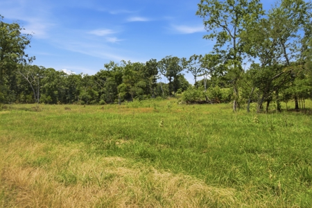 431 Acre Ozarks Farm with Springs, Ponds & Income Potential - image 18