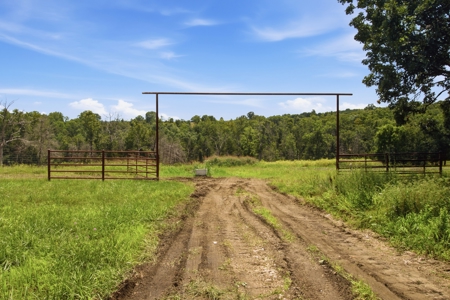 431 Acre Ozarks Farm with Springs, Ponds & Income Potential - image 34