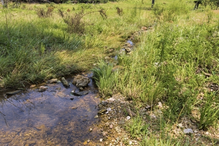 431 Acre Ozarks Farm with Springs, Ponds & Income Potential - image 30