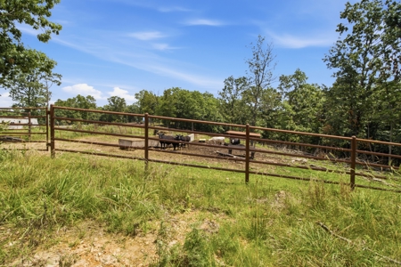 431 Acre Ozarks Farm with Springs, Ponds & Income Potential - image 13