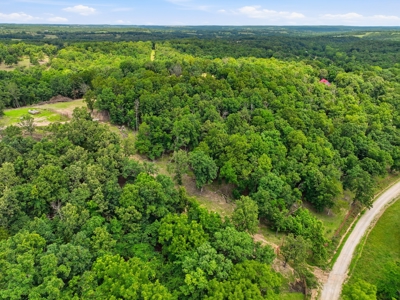431 Acre Ozarks Farm with Springs, Ponds & Income Potential - image 23