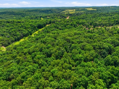 431 Acre Ozarks Farm with Springs, Ponds & Income Potential - image 43