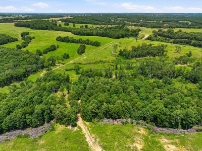 431 Acre Ozarks Farm with Springs, Ponds & Income Potential - image 45