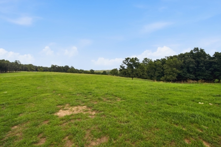 431 Acre Ozarks Farm with Springs, Ponds & Income Potential - image 21