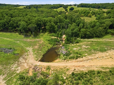 431 Acre Ozarks Farm with Springs, Ponds & Income Potential - image 46