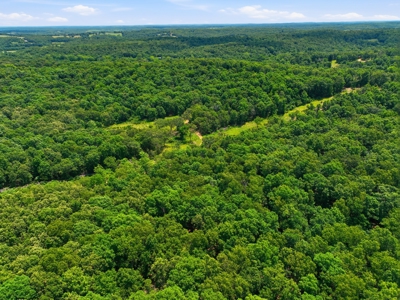 431 Acre Ozarks Farm with Springs, Ponds & Income Potential - image 40