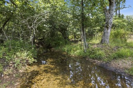 431 Acre Ozarks Farm with Springs, Ponds & Income Potential - image 6
