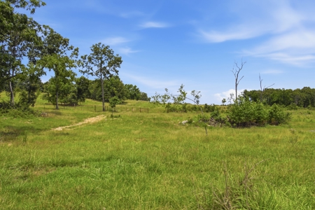 431 Acre Ozarks Farm with Springs, Ponds & Income Potential - image 20