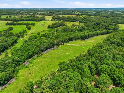 431 Acre Ozarks Farm with Springs, Ponds & Income Potential - image 39