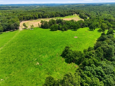 431 Acre Ozarks Farm with Springs, Ponds & Income Potential - image 4