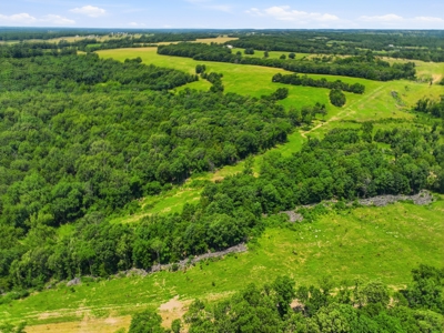 431 Acre Ozarks Farm with Springs, Ponds & Income Potential - image 24