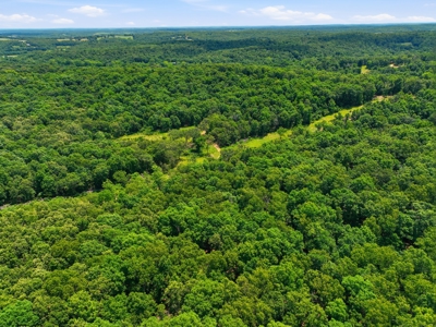 431 Acre Ozarks Farm with Springs, Ponds & Income Potential - image 41