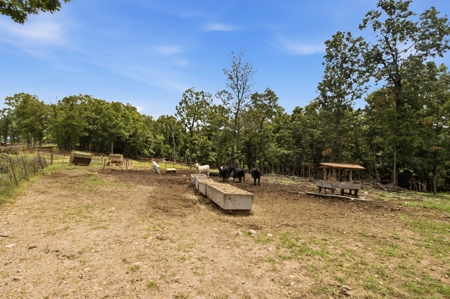 431 Acre Ozarks Farm with Springs, Ponds & Income Potential - image 26