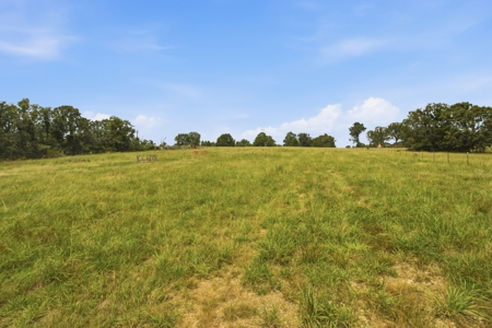 431 Acre Ozarks Farm with Springs, Ponds & Income Potential - image 33