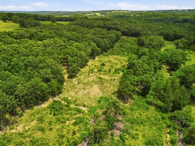 431 Acre Ozarks Farm with Springs, Ponds & Income Potential - image 48