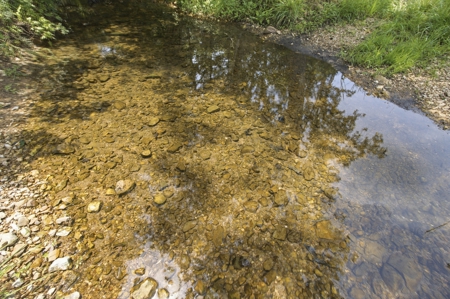 431 Acre Ozarks Farm with Springs, Ponds & Income Potential - image 29