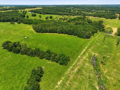 431 Acre Ozarks Farm with Springs, Ponds & Income Potential - image 37