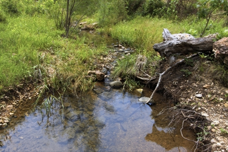 431 Acre Ozarks Farm with Springs, Ponds & Income Potential - image 7