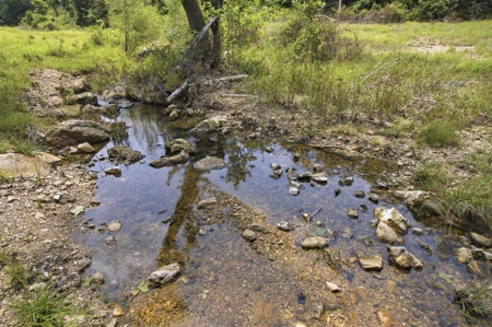 431 Acre Ozarks Farm with Springs, Ponds & Income Potential - image 31