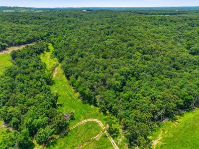 431 Acre Ozarks Farm with Springs, Ponds & Income Potential - image 50