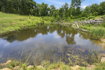 431 Acre Ozarks Farm with Springs, Ponds & Income Potential - image 8