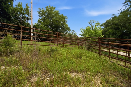 431 Acre Ozarks Farm with Springs, Ponds & Income Potential - image 12